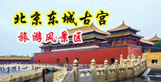 外国人大黑屌日逼中国北京-东城古宫旅游风景区